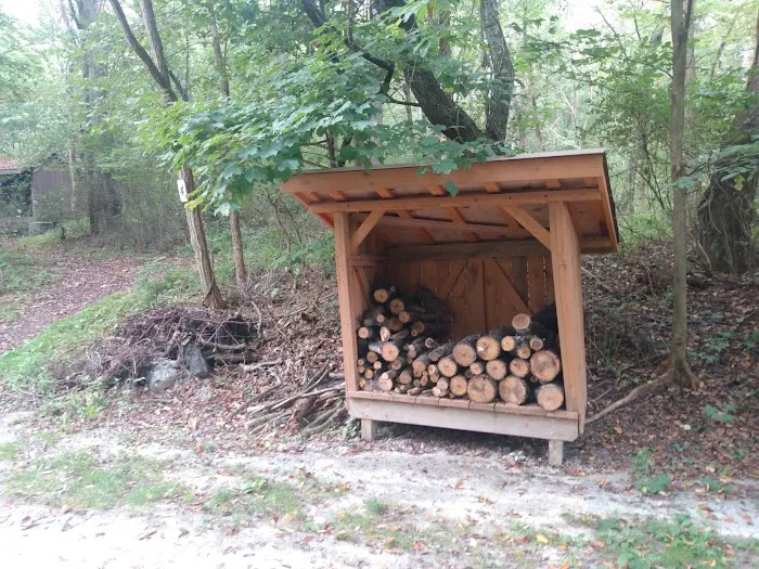 Cecil Henderson Montour Trail Campground Picture 2