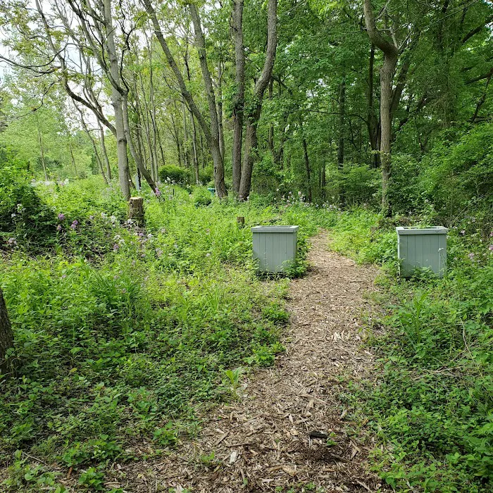 Montour Trail Boggs Campsite/Trailhead Picture 7
