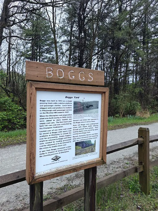 Montour Trail Boggs Campsite/Trailhead Picture 5