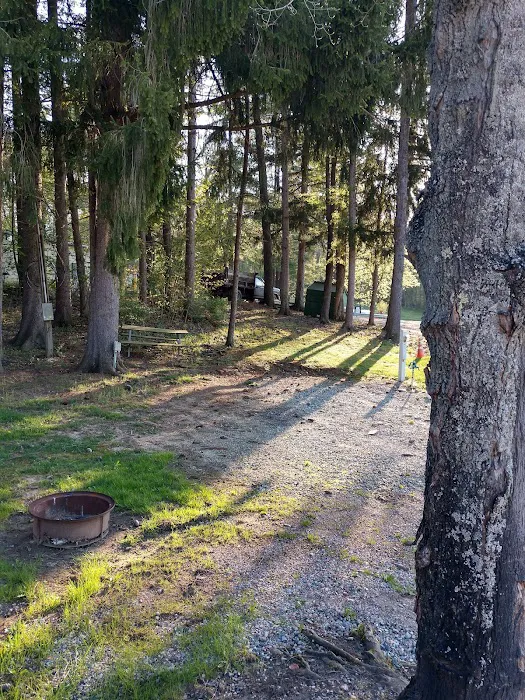 Whispering Pines Family Picture 9