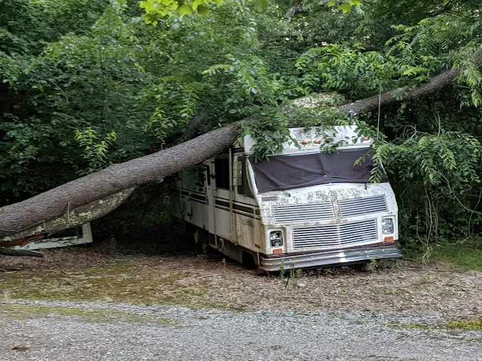 Whispering Pines Family Picture 6