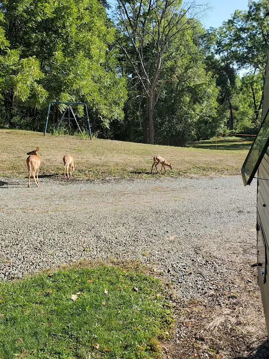 Whispering Pines Family Picture 3