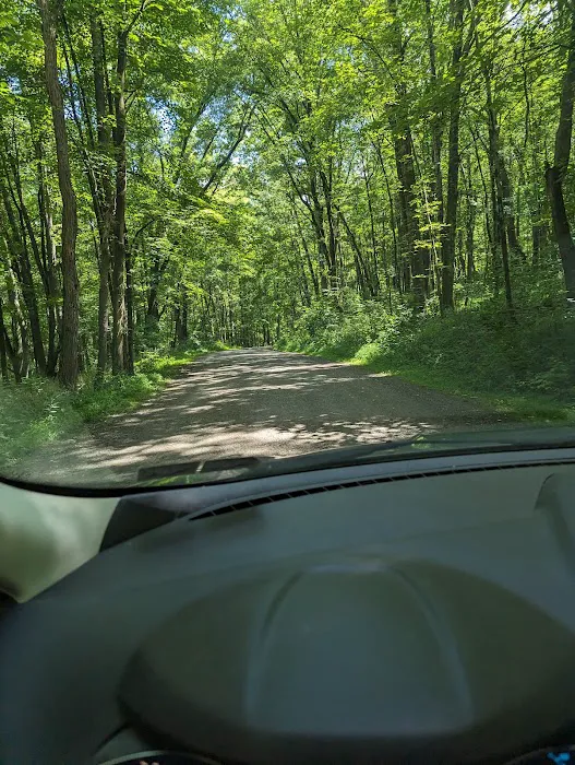 Raccoon Creek State Park Campground Picture 9