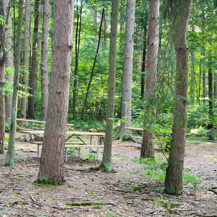 Raccoon Creek State Park Campground Picture 4