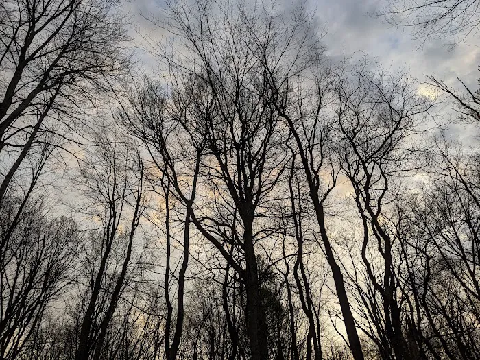 Sioux Rustic Campground Picture 4