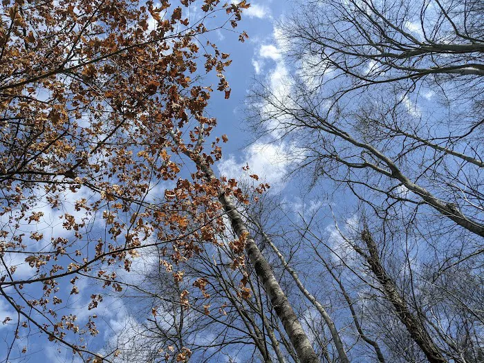 Sioux Rustic Campground Picture 7