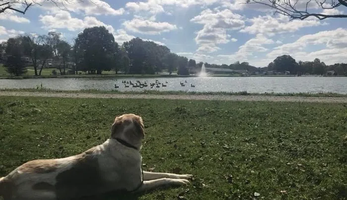 Plantation Park Picture 8