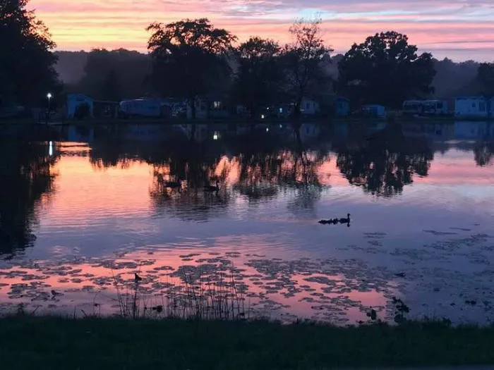 Plantation Park Picture 6