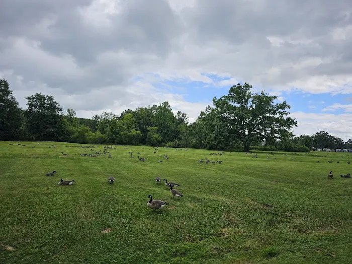 Plantation Park Picture 5