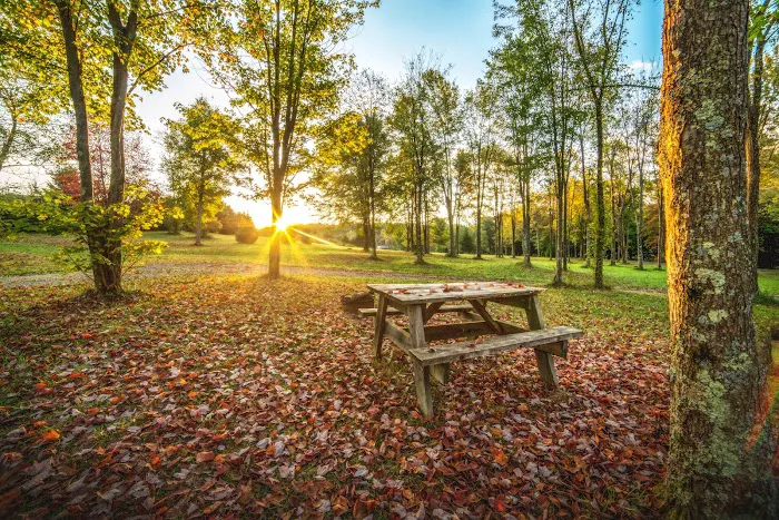 Breakneck Campground Picture 6