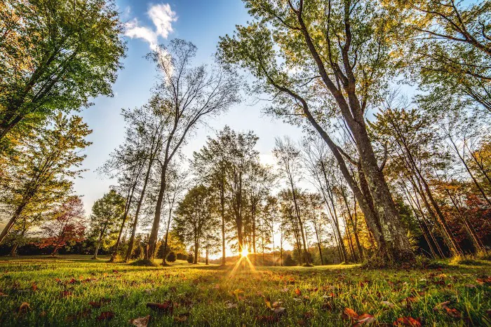 Breakneck Campground Picture 8