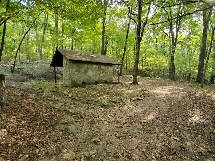 Dan's Mountain Campground Picture 4