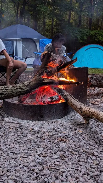 Dan's Mountain Campground Picture 7