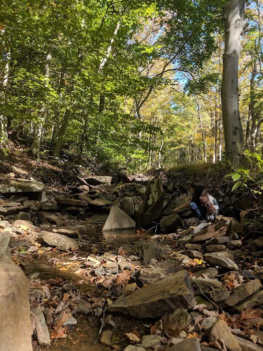 Dan's Mountain Campground Picture 8