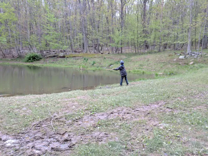 Dan's Mountain Campground Picture 1