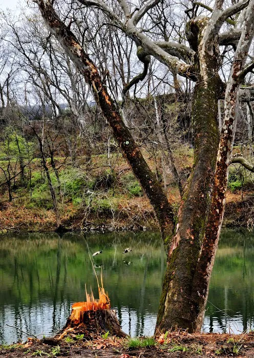 Rivers Edge on the Potomac Campground Picture 2