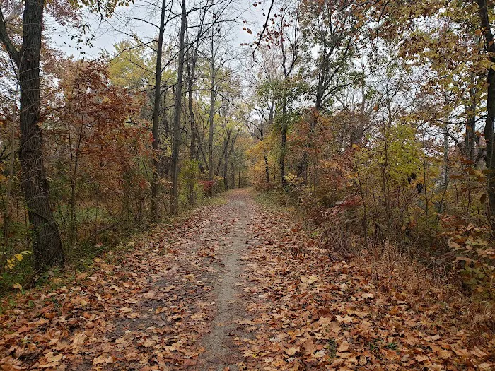 Evitts Creek Campsite Picture 9