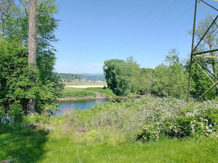 Evitts Creek Campsite Picture 1