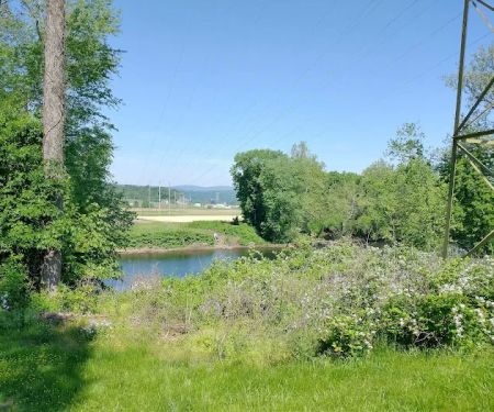 Evitts Creek Campsite