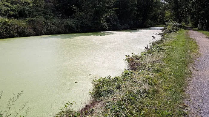 Evitts Creek Campsite Picture 3