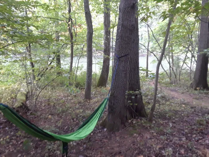 Paddler's Lane Campground Picture 4