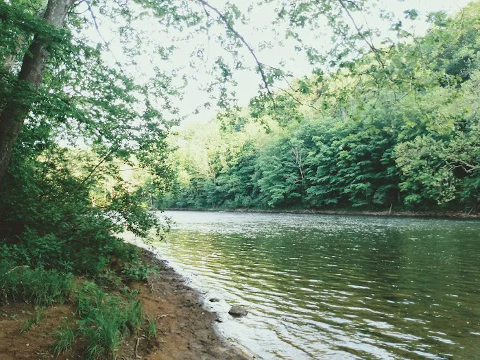 Paddler's Lane Campground Picture 6