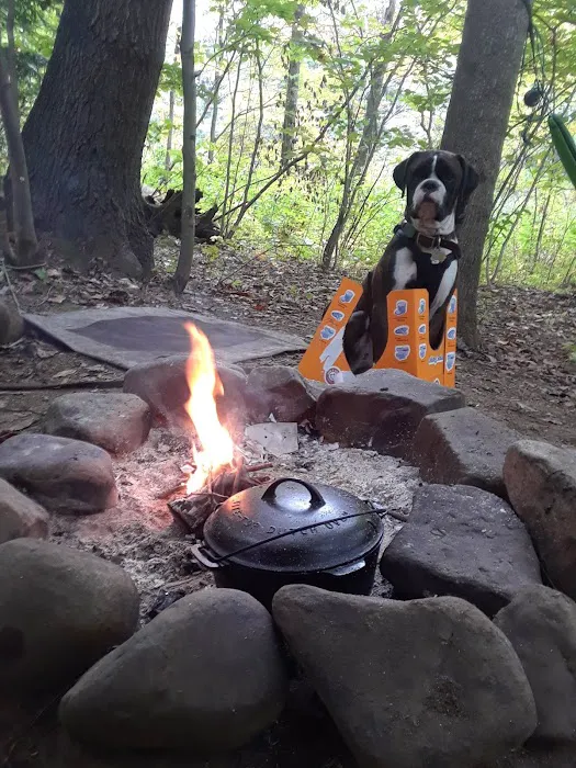 Paddler's Lane Campground Picture 8