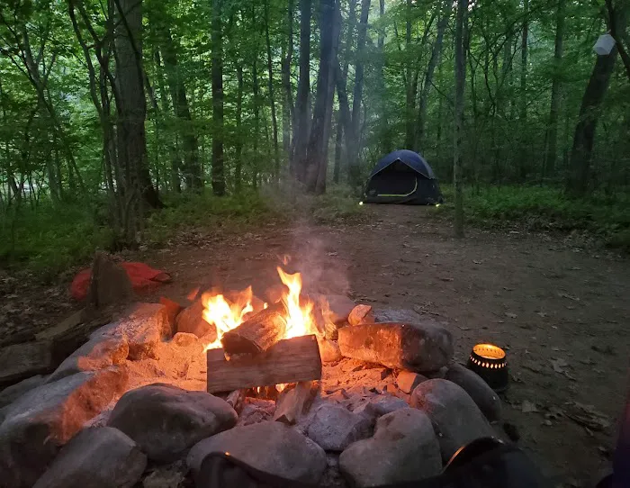 Paddler's Lane Campground Picture 1