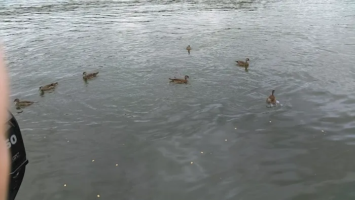 Somerfield Beach Campground (seasonal - no weekly / weekend rentals) Picture 3