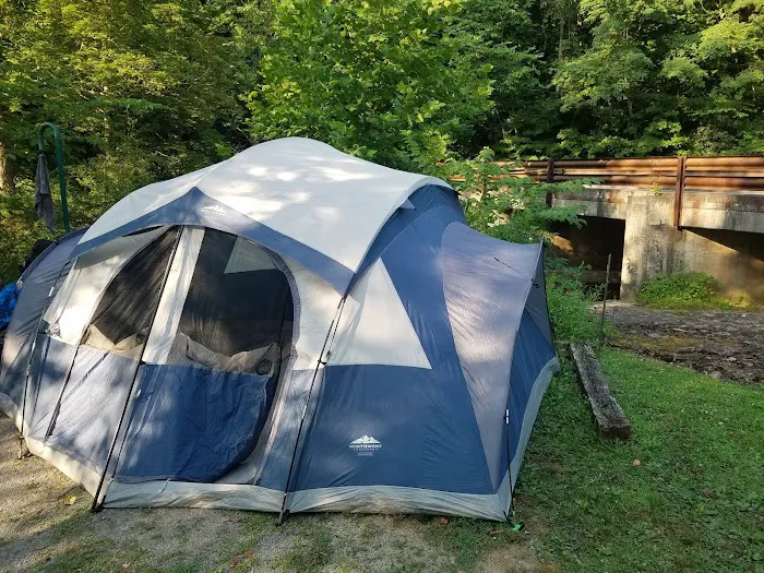 Yough Lake Campground Picture 4