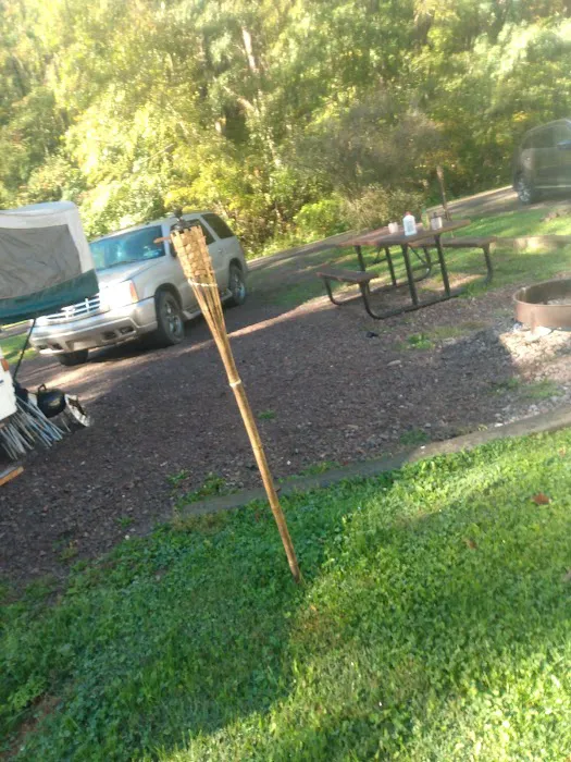 Yough Lake Campground Picture 6