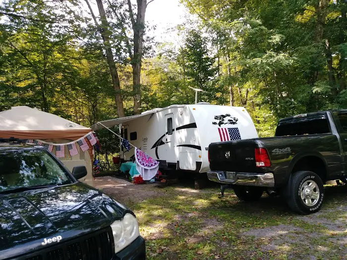 Yough Lake Campground Picture 8