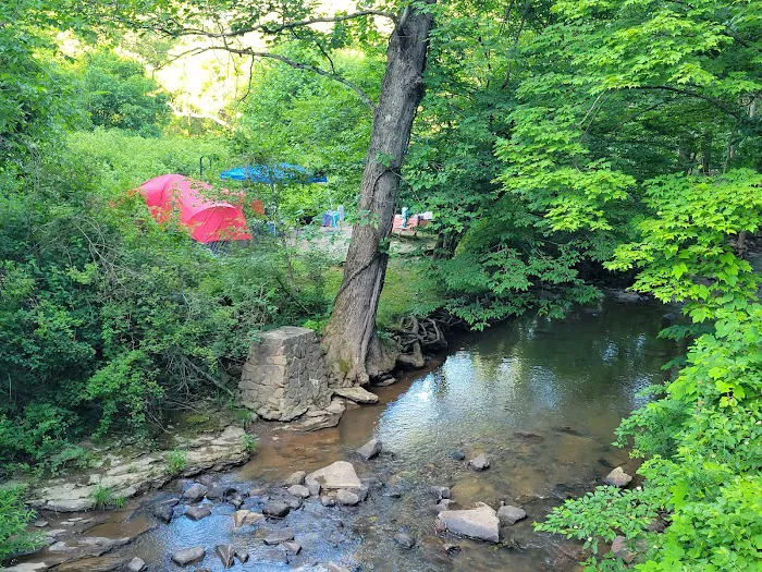 Yough Lake Campground Picture 5