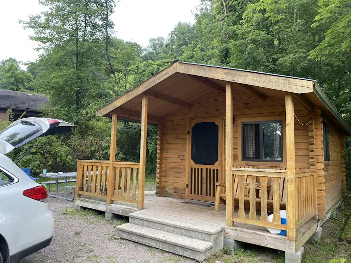 Yough Lake Campground Picture 3