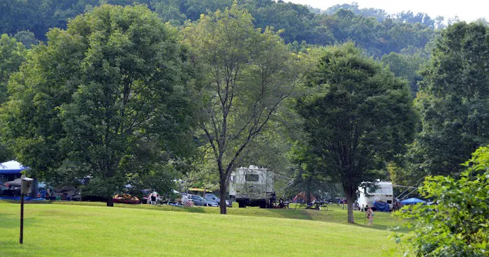 Yough Lake Campground Picture 9