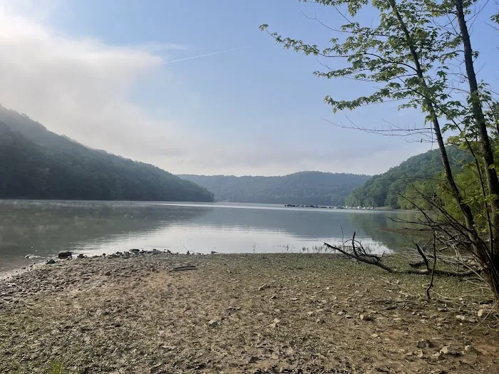 Yough Lake Campground Picture 7