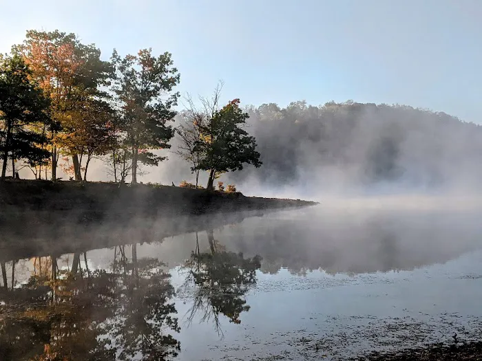 Rocky Gap State Park Campground Picture 8