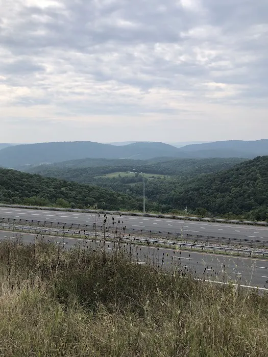 Rocky Gap State Park Campground Picture 1