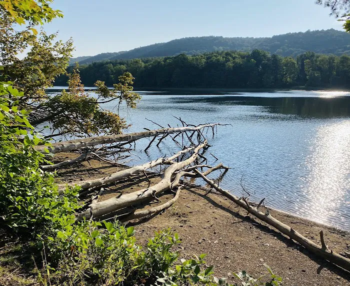 Rocky Gap State Park Campground Picture 9
