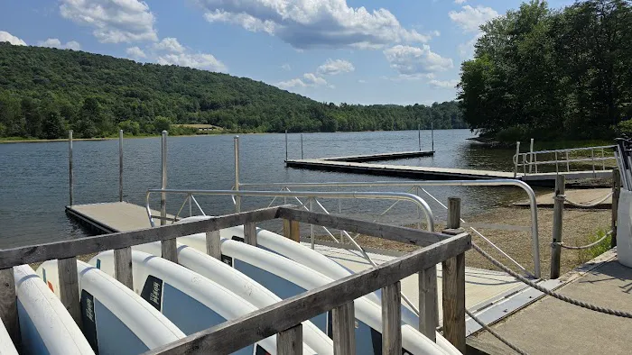 Rocky Gap State Park Campground Picture 7