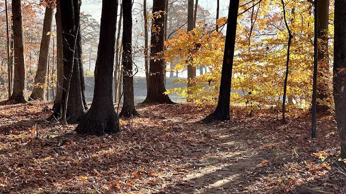 Rocky Gap State Park Campground Picture 3