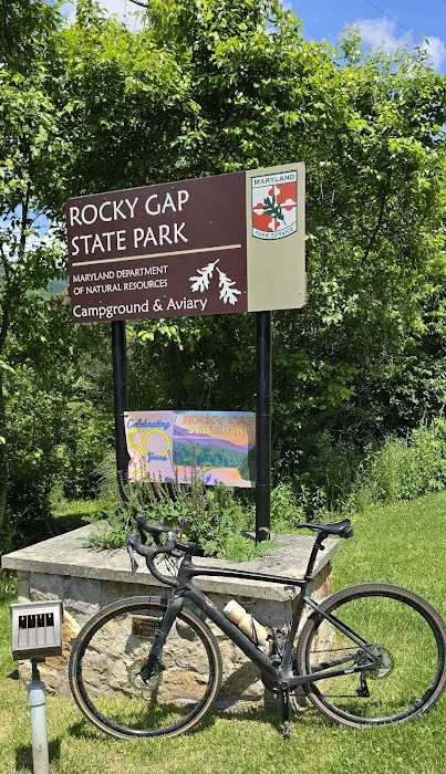 Rocky Gap State Park Campground Picture 10