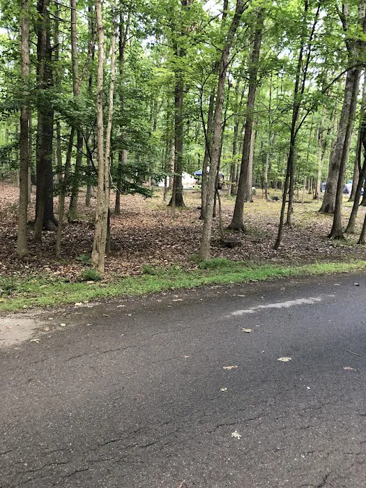 Rocky Gap State Park Campground Picture 4