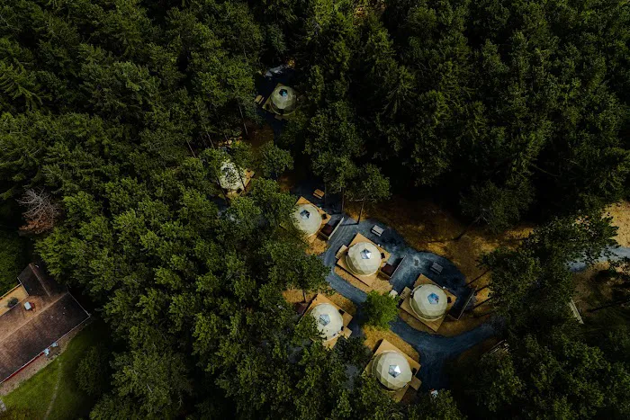 Bumble Bee RV Park & Campground Picture 10