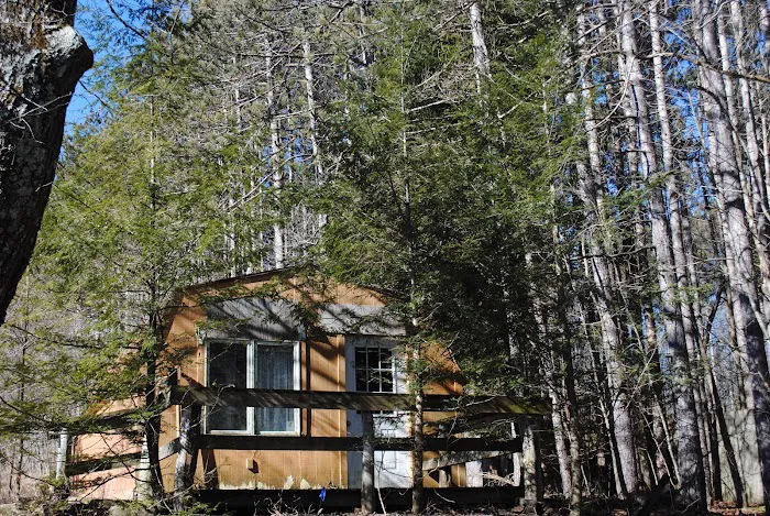 Bumble Bee RV Park & Campground Picture 5