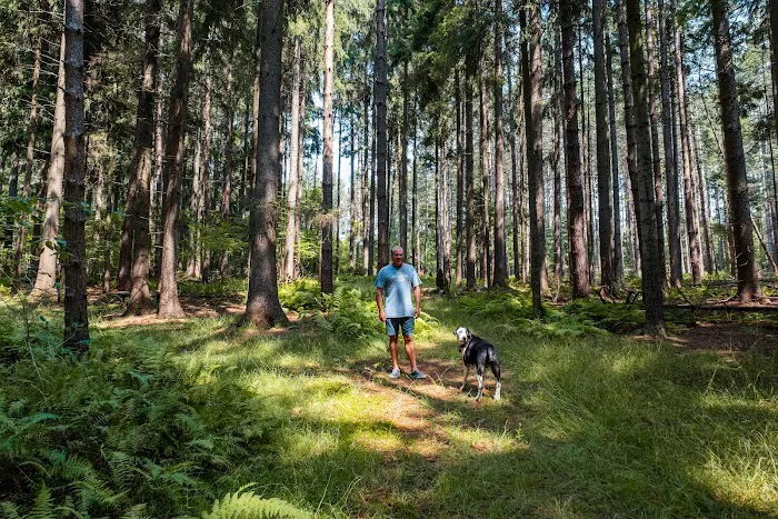 Bumble Bee RV Park & Campground Picture 2