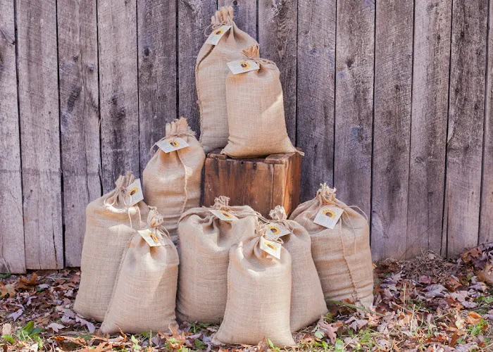 Double G RV Park Picture 9