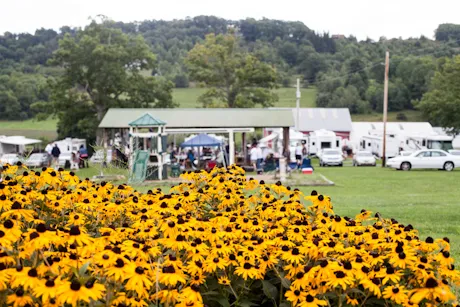 Double G RV Park Picture 4