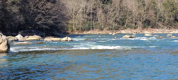 Pura Vida Cabin Picture 1