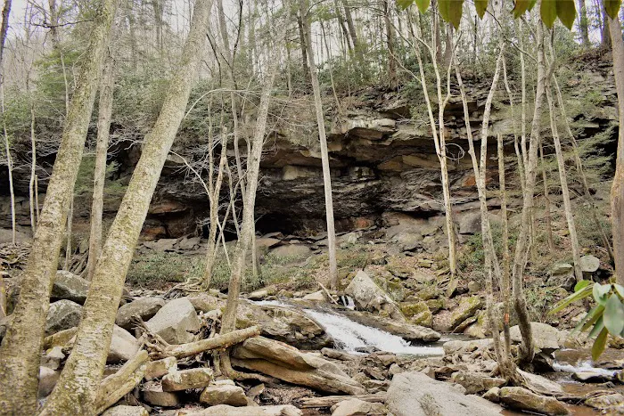 Pura Vida Cabin Picture 6